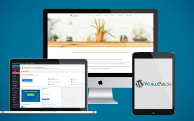 WordPress com ou org : lequel choisir pour votre site web ?