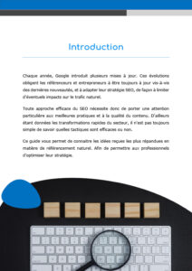 intro page d'intorduction ebook idées reçues seo