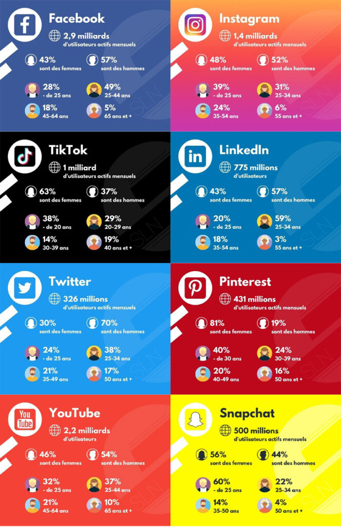 infographie profil type des utilistauer sur les réseaux sociaux